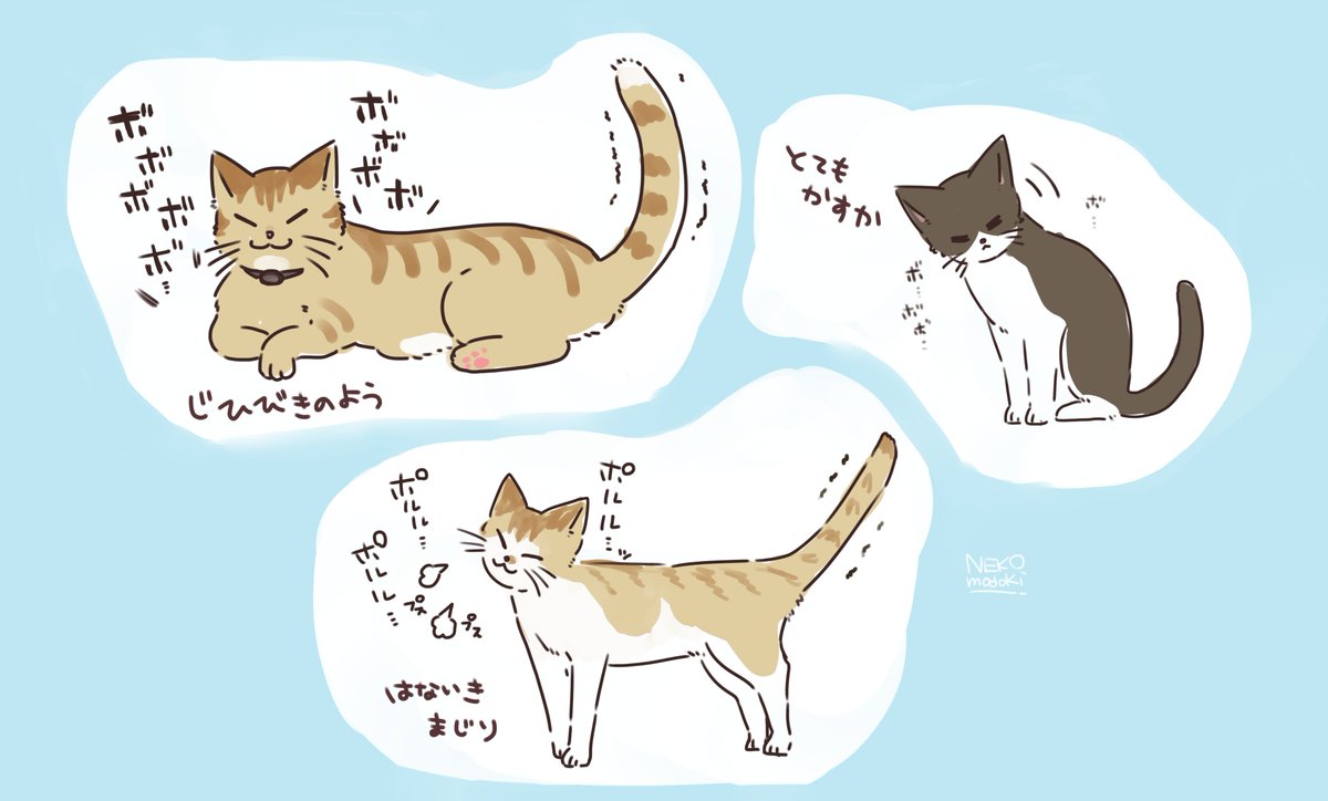 ネコ、それぞれゴロゴロいう音が違う 