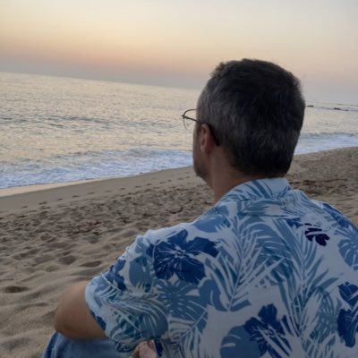 Joao Carvalho tweet media