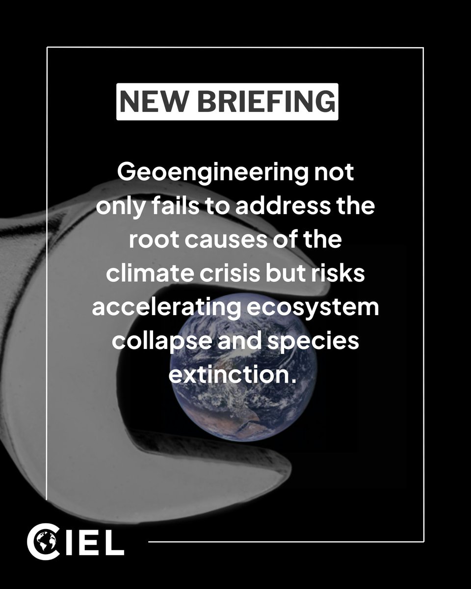 Center for International Environmental Law (@ciel_tweets) on Twitter photo 💥NEW: A few days before the <a href="/UNBiodiversity/">UN Biodiversity</a> Talks #COP16, we published a 🆕 briefing exposing how geoengineering not only fails to address the root causes of the #ClimateCrisis but risks accelerating ecosystem collapse and species extinction.
👉 ciel.org/reports/risks-… 👈
A🧵 💥NEW: A few days before the <a href="/UNBiodiversity/">UN Biodiversity</a> Talks #COP16, we published a 🆕 briefing exposing how geoengineering not only fails to address the root causes of the #ClimateCrisis but risks accelerating ecosystem collapse and species extinction.
👉 ciel.org/reports/risks-… 👈
A🧵
