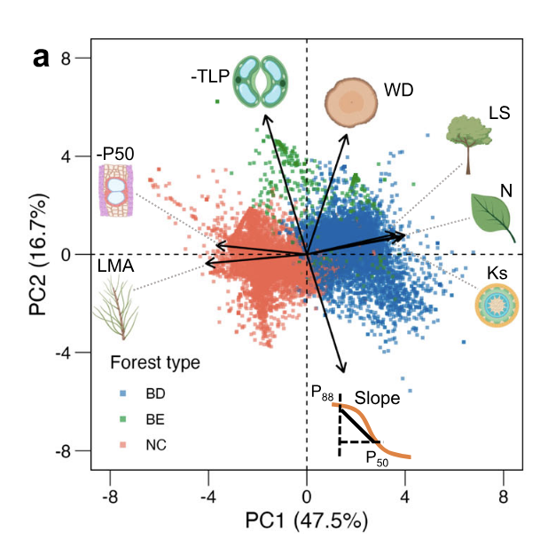 Tom Pugh tweet media