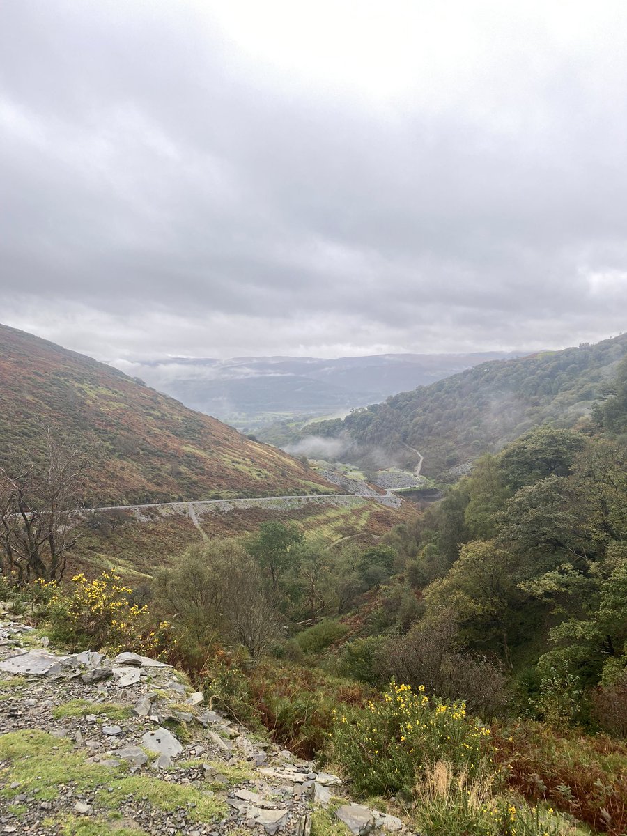 grj243's tweet image. No #wind today because the rain is coming straight down 😂😂#Pennal #Highbirds #MidWales🏴󠁧󠁢󠁷󠁬󠁳󠁿