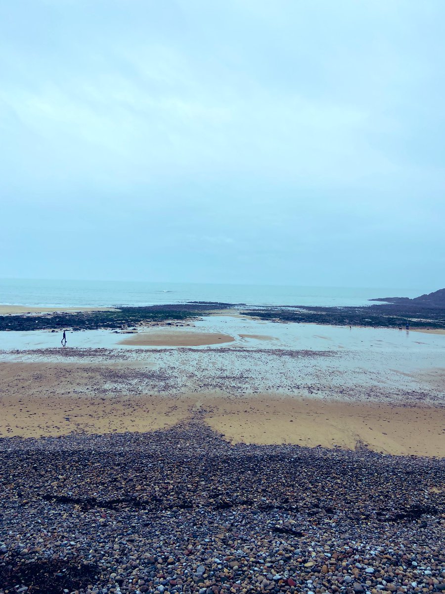 Alexandra Primary School tweet media