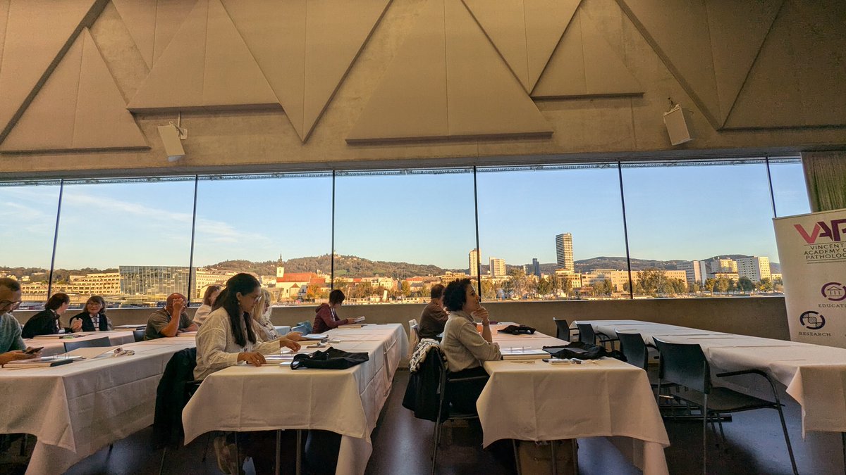 BeebsM1's tweet photo. Great course, great venue, beautiful city #Linz @evacomperat @DrMahul #vincentacademy https://t.co/uhXiVh7ALz