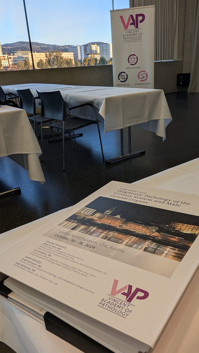 BeebsM1's tweet photo. Great course, great venue, beautiful city #Linz @evacomperat @DrMahul #vincentacademy https://t.co/uhXiVh7ALz