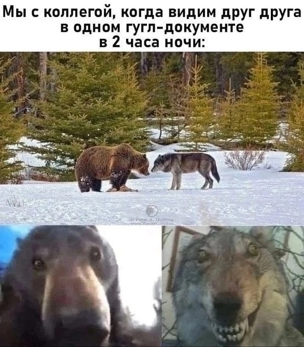 Признавайтесь, знакомо?