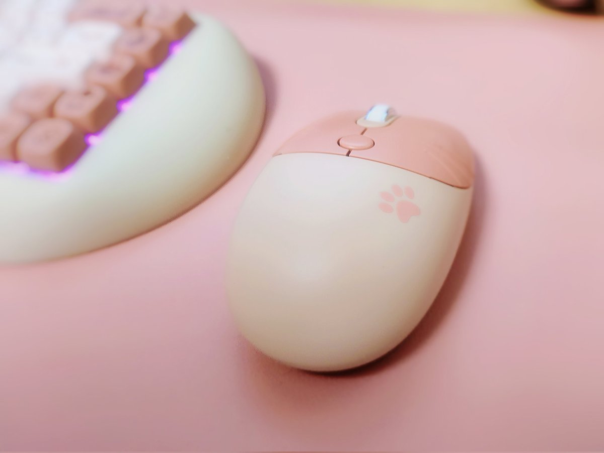 kanade_biscotte's tweet photo. 電池変えたのにまだ動きがおかしいです。
もうだめなの？
いやだよまだ家に来たばっかりじゃない😭 https://t.co/uiCaP7XBgB
