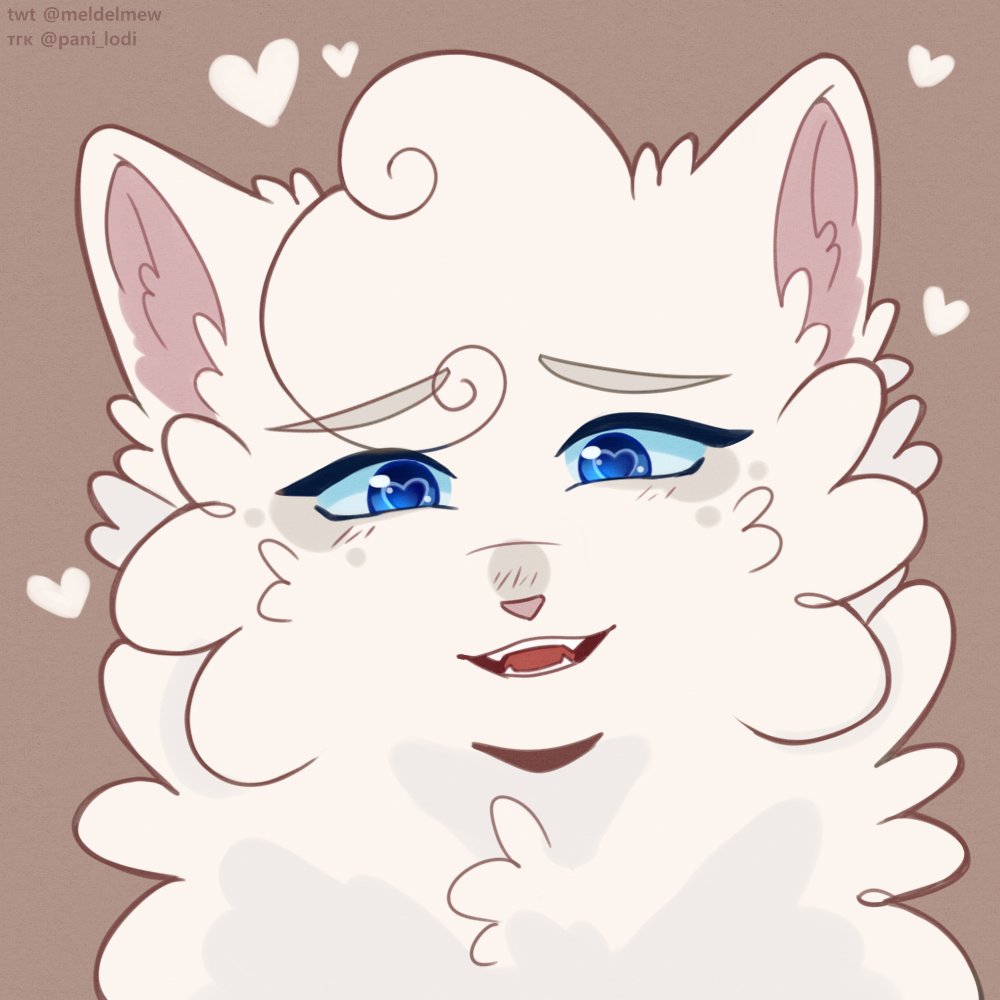meldelmew's tweet image. ☁️🤍
#warriorcats #cloudtail #brightheart