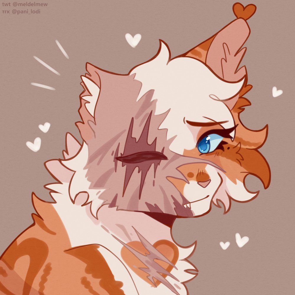 meldelmew's tweet image. ☁️🤍
#warriorcats #cloudtail #brightheart