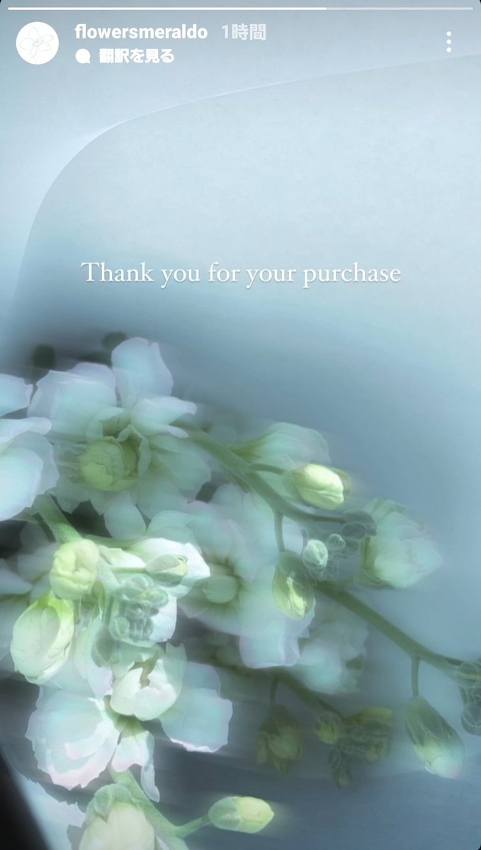 554bts's tweet photo. ちょっと待って‼️
Smeraldo の Instagram垢が動き出した‼️✨👀
"Thank you for your purchase"
(お買い上げありがとうございます)
#Smeraldo 💐
#스메랄도 https://t.co/G8Gt7e3RIJ
