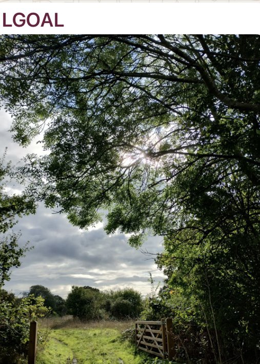 Let's Go Outside & Learn tweet media