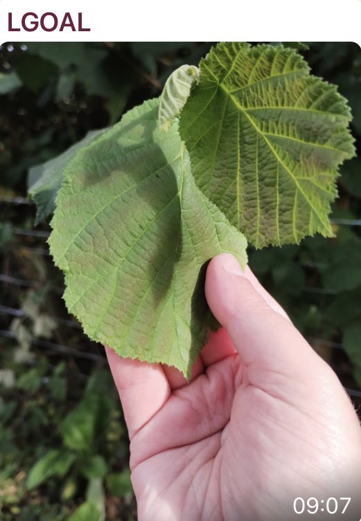 Let's Go Outside & Learn tweet media