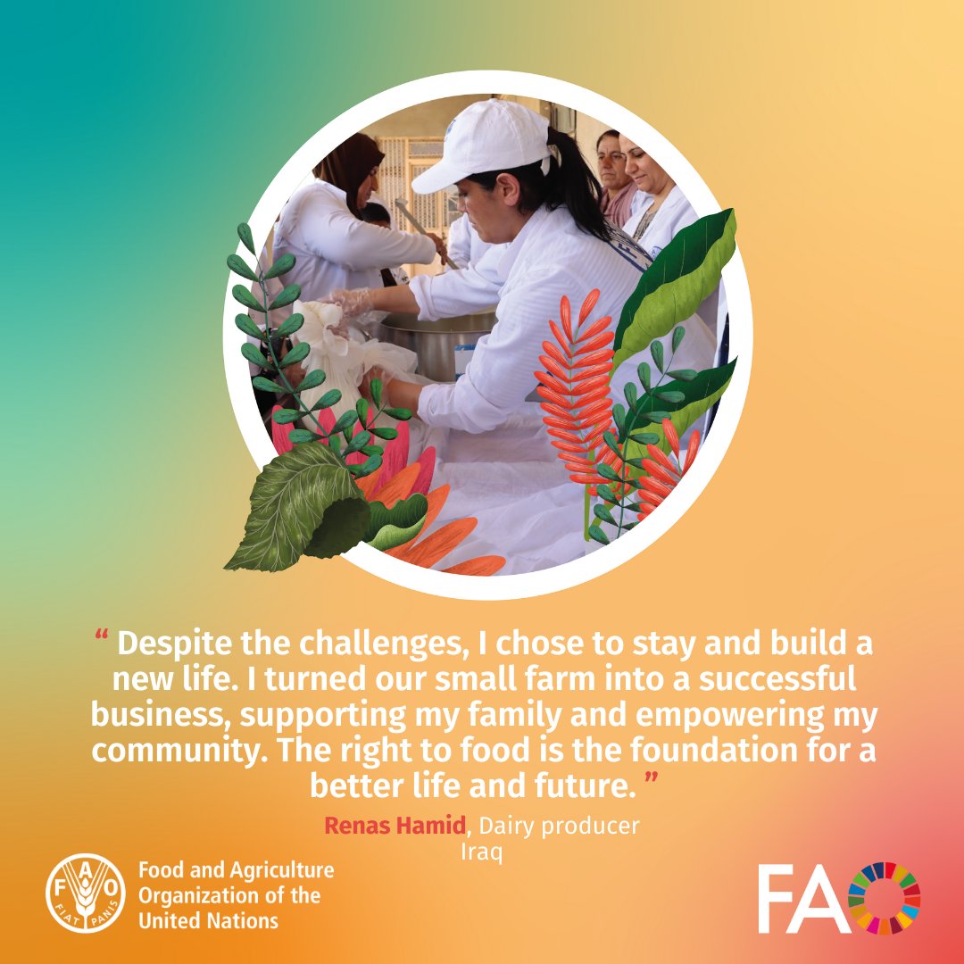 FAOIraq's tweet photo. On #WorldFoodDay
&amp; #InternationalDayofRuralWomen 
We honor Renas Hamid, one of the #FoodHeroes who faced challenges and struggled to survive and build a new life and contributed to achieving #RightToFood through sustainable agriculture practices
FMI👇
https://t.co/VVRJAKK7jv https://t.co/T4P5jHS9WY