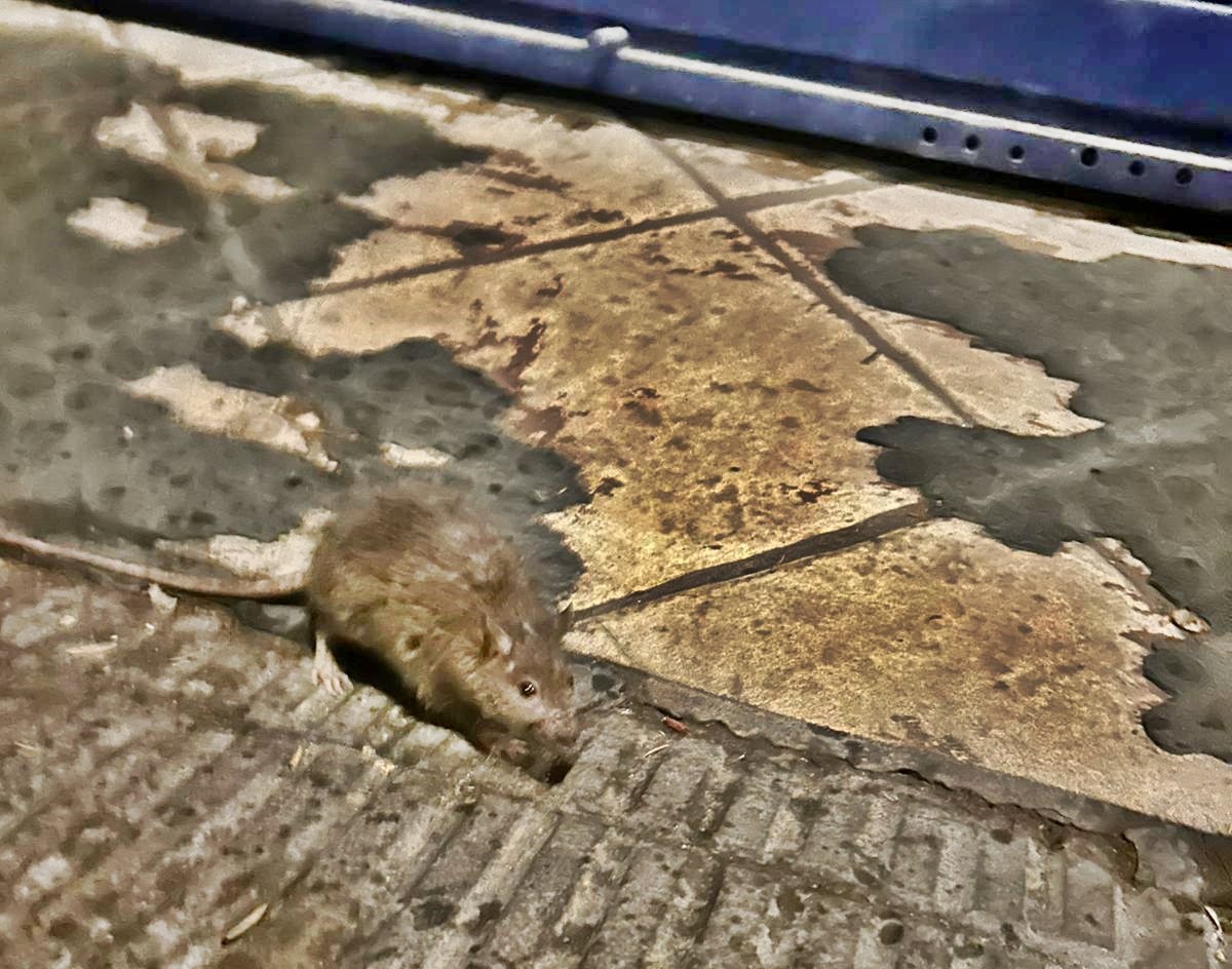 maneltec's tweet photo. #HolaLleida_CAT 🤗
#JoSócEnFaltón 🥴
#JubilatGaudintDeLaVida 😜
#CaminantPerLleida🚶
#Vagis_X_OnVagis
#LleidaFaPena
#EscocellsDeM
#ComparteixLleida
#MareDeDéuSenyor 🥺
Rates al #ClotDeLes 🐸 🐸 
@lleida_news @laveudelleida
@LleidaB @amicsdelalletja
@lleidaenverd  @paerialleida https://t.co/1Be7n2lZnj