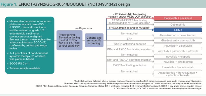AngelesSecord's tweet photo. Dr Jubilee Brown presents BOUQUET data at #IGCS2024  @SGO_org @GOG 
Rare tumors are important to study and yes - clinical trials are feasible. Love the biomarker data ❤️ https://t.co/eMmcWIyT0c