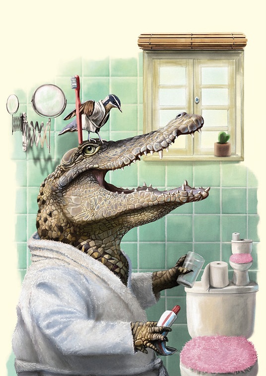 Canal Lector tweet media