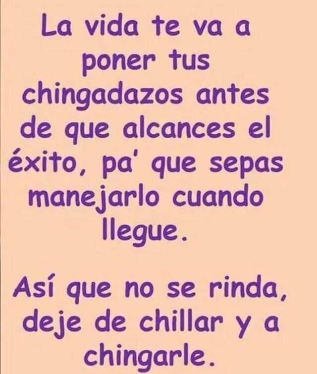 penelope_waldo's tweet photo. Y BIEN puestos .. pero de TODO se APRENDE .. saca lo BUENO de cada SITUACIÓN ..así qué NO se RINDA .. DEJE de CHILLAR y a #Chingarle ..🫶🏻

BUENOS DÍAS ..🔆 https://t.co/tMiSLchXQw