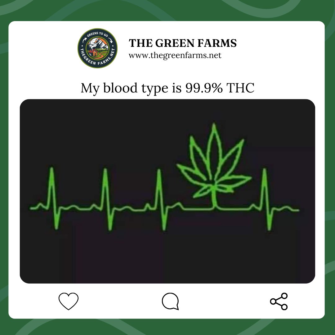 the_green_farms's tweet photo. 99.9% THC, 100% chill mode activated 💚#thegreenfarms #canadawideshipping #BCfarms #weedlovers #cannabisclub #CannabisLand #cannabisindustry #cannabiscommunity #cannabisculture #weedmob #weedlovers #stonerfam #stoners #420fam #differentleaf #ouieed #plantmedicine #cannabiscures https://t.co/eyRbqvZtdf