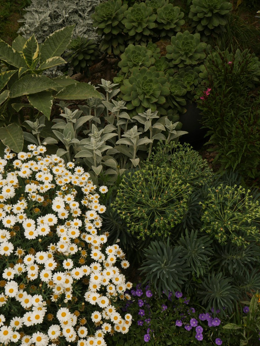 🌿 Herb lovers, this one's for you! 🌿 What's your absolute favorite herb? Basil for that fresh aroma? Rosemary for a hearty twist? Or maybe mint for a cool finish? Share your top herb &amp; how you use it! 🌱
#vilcer
#HerbMagic #CulinaryHerbs #herbs  #FoodieFavorites #KitchenStaples