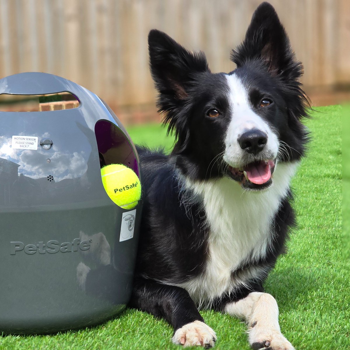 Giveaway
We are giving you the chance to win an Automatic Ball Launcher
Like, comment and Retweet for your chance to win!