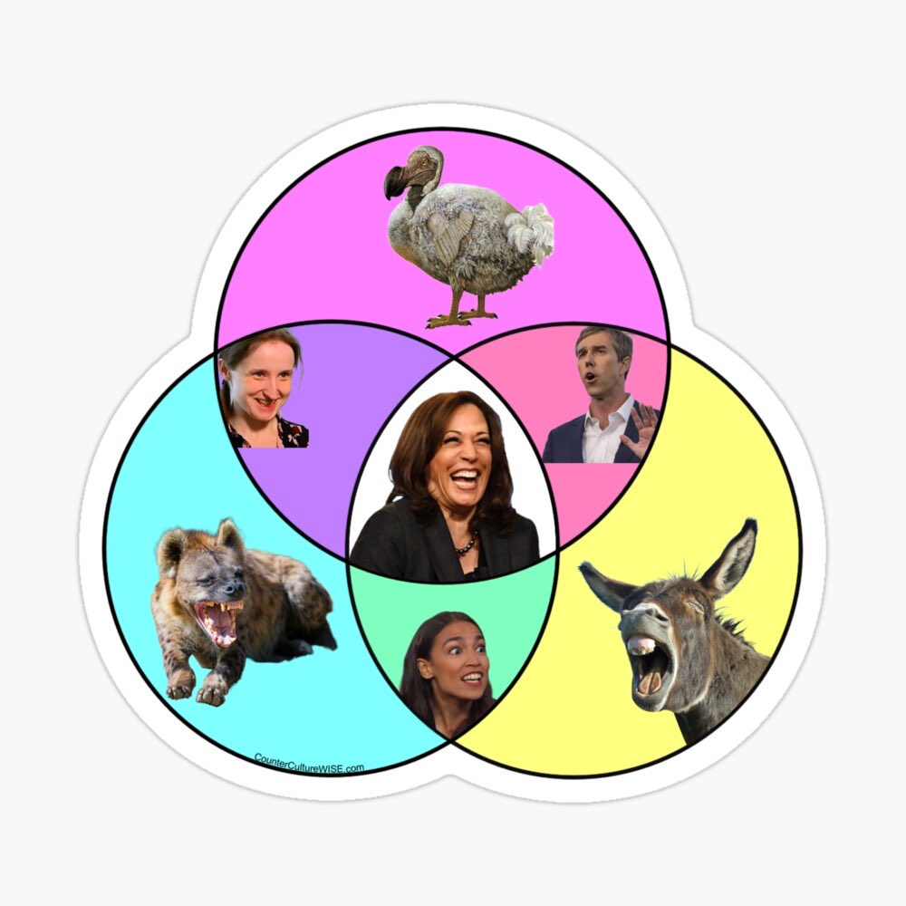 <a href="/Kamalas_Kackle/">Never the President Kamala’s Kackle</a>