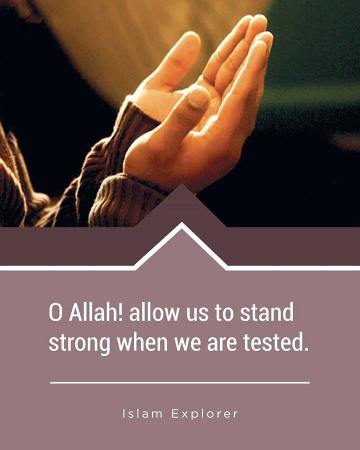 NazRimsha6498's tweet photo. اللہ تعالی کے نزدیک تمام آبادیوں میں محبوب ترین جگہیں اس کی مسجدیں ہیں اور بدترین مقامات بازار ہیں۔
(مسلم شریف)
#PSTMARKAZ https://t.co/o48Br22ZRd