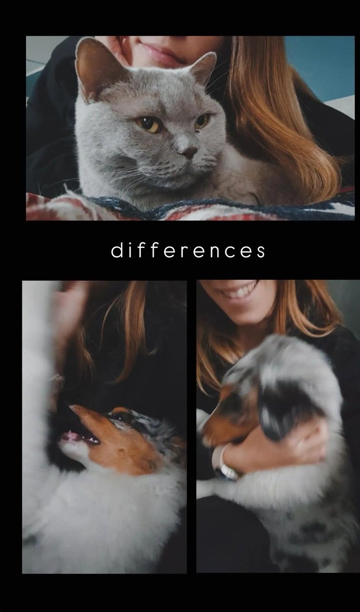 Traparentesi1's tweet photo. Vorrei rispondere a quella suora che mi aveva ripreso e mortificata, quando avevo circa 7 anni, per aver scritto nel tema che il mio miglior amico era il mio cane, che ora la situa non è cambiata, anzi. Sono sopravvissuta e può stare serena https://t.co/mYyEwrbkbZ