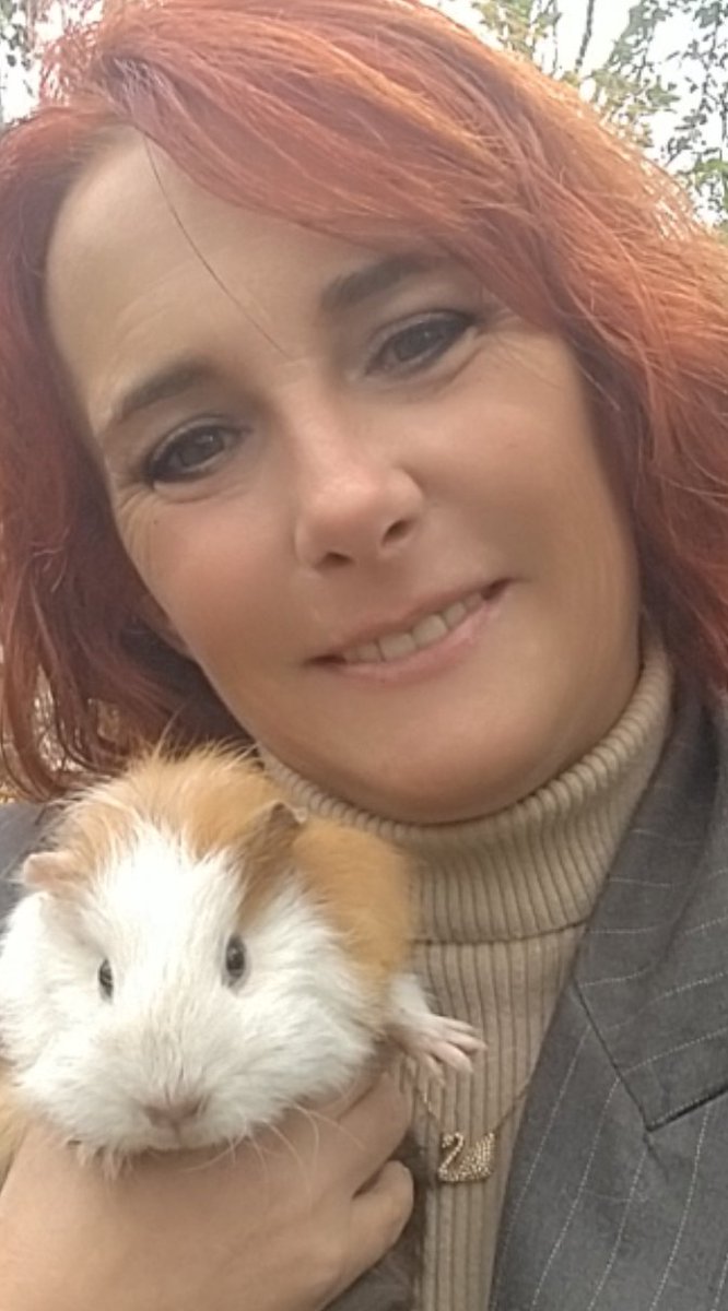 fermedoudou's tweet photo. Abandonnés faute de temps, achetés il y a un an, reproduits entre frères et sœurs... dans un état lamentable. #StopAbandon #ProtectionAnimale #Refuge #CochonsdInde https://t.co/ASYUAcnnxq