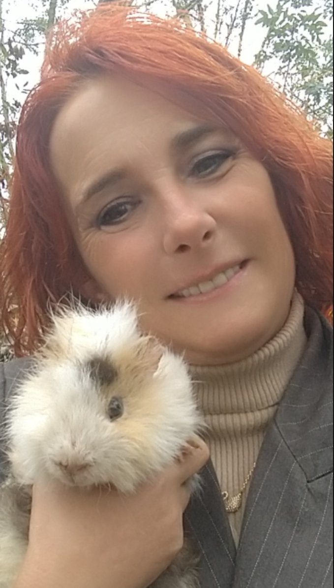 fermedoudou's tweet photo. Abandonnés faute de temps, achetés il y a un an, reproduits entre frères et sœurs... dans un état lamentable. #StopAbandon #ProtectionAnimale #Refuge #CochonsdInde https://t.co/YX9ME40PHJ