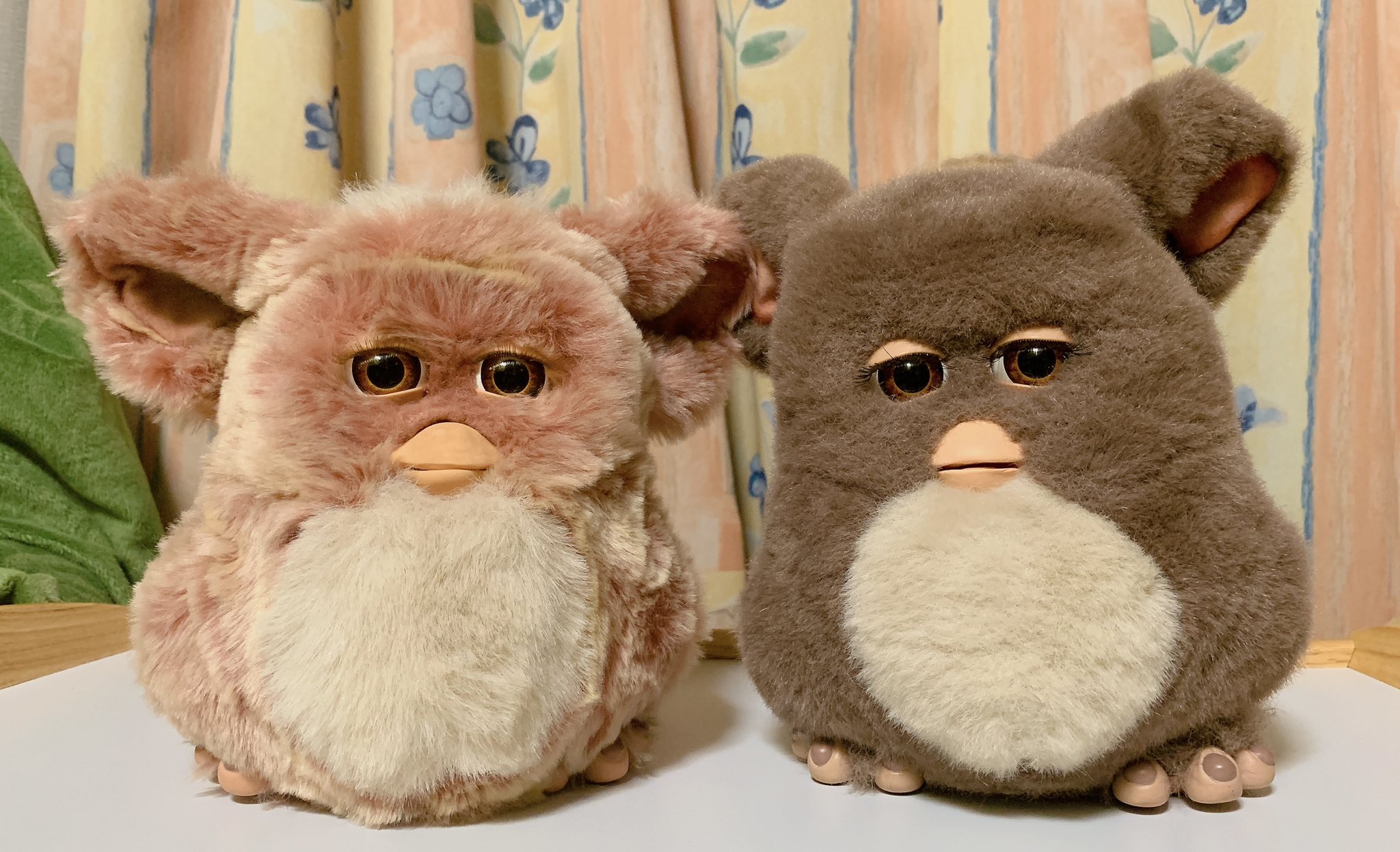 ファービー2 クランベリークッキー