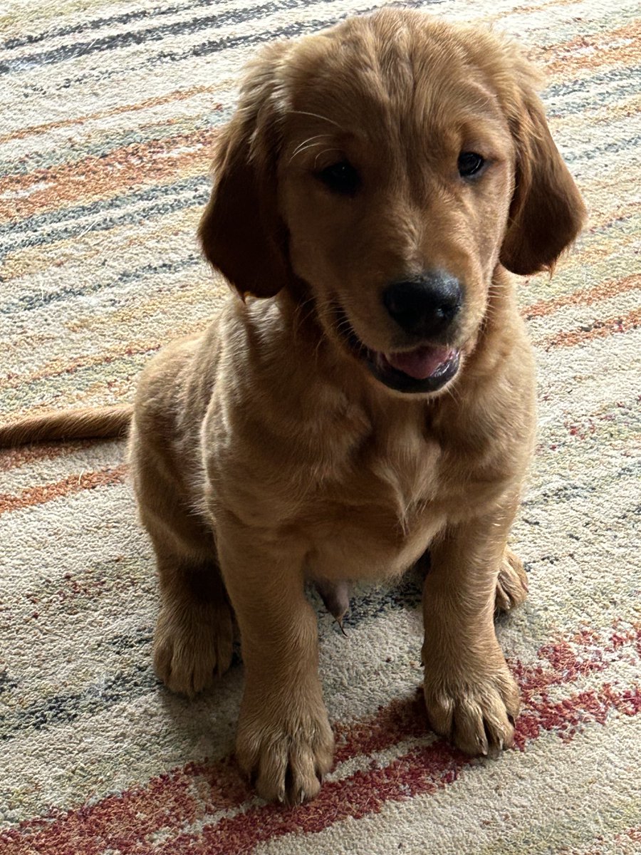 Paul Bush tweet media