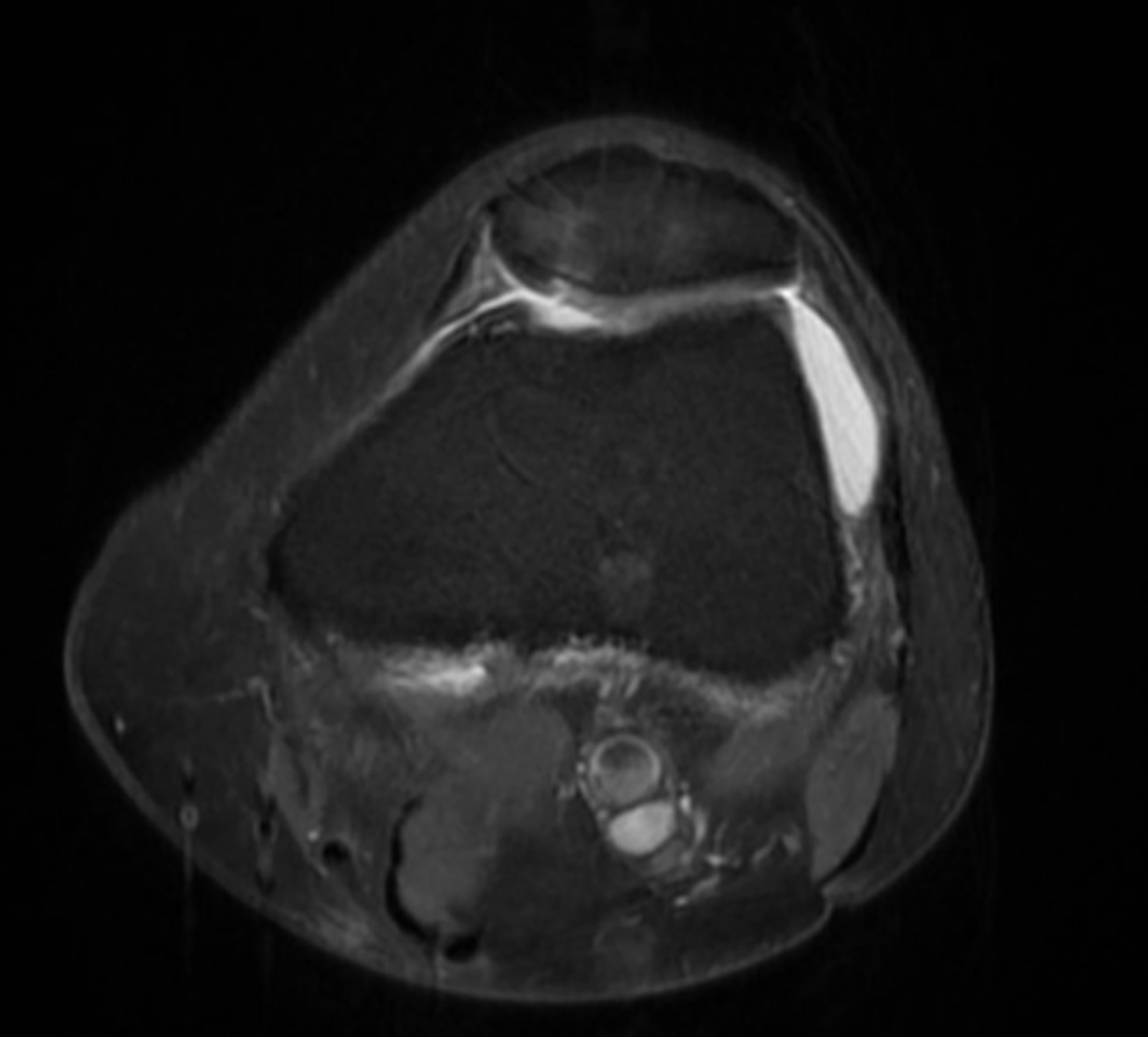 Cameron Tudor tweet media