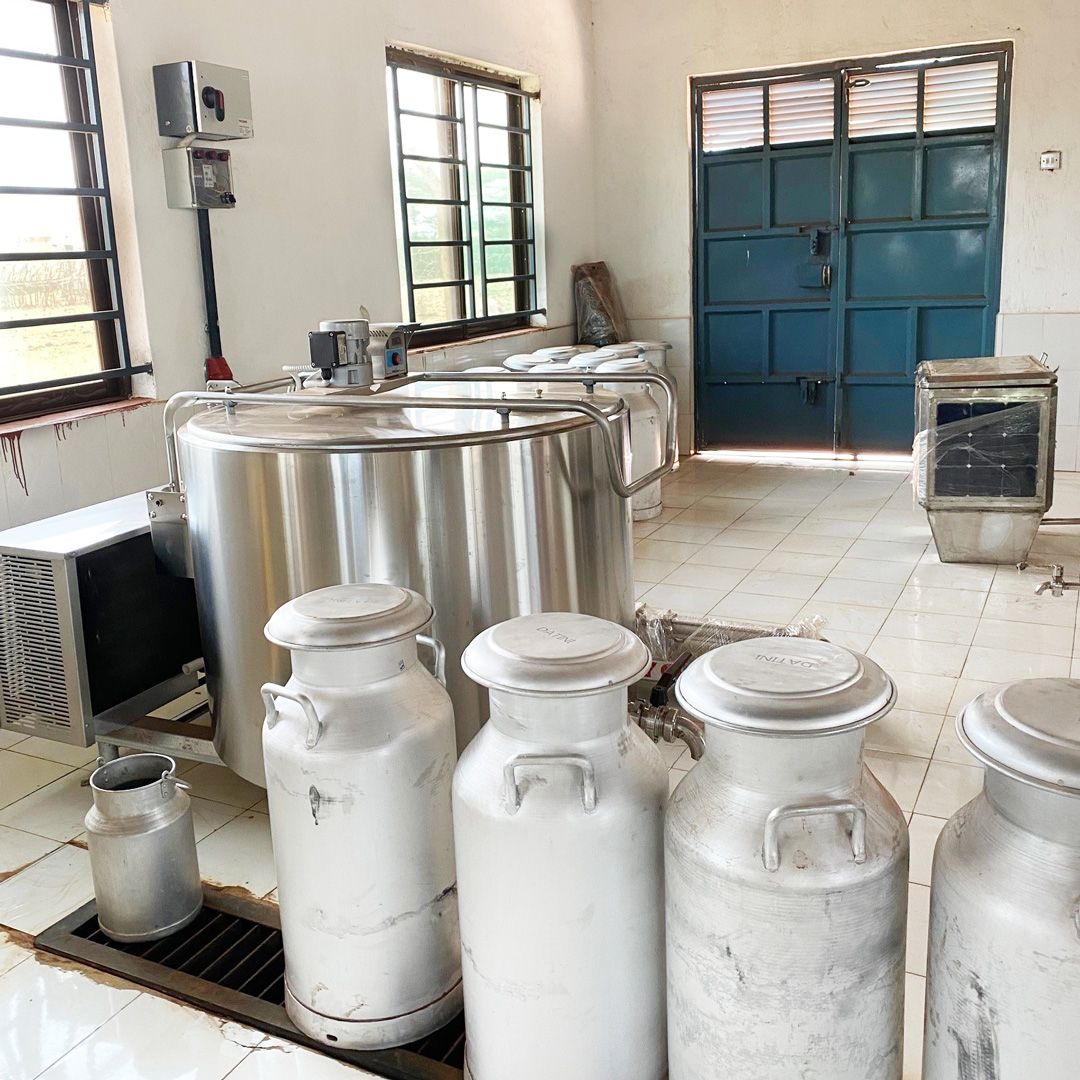 Världshungerdagen 16 oktober – SVA driver projekt för djurhälsa och minskad fattigdom. Världshungerdagen har ett syfte att öka medvetenheten om frågor som rör fattigdom och hunger. SVA driver programmet ITP 310 Healthy livestock – Safe food sedan 2018.
sva.se/aktuellt/nyhet…