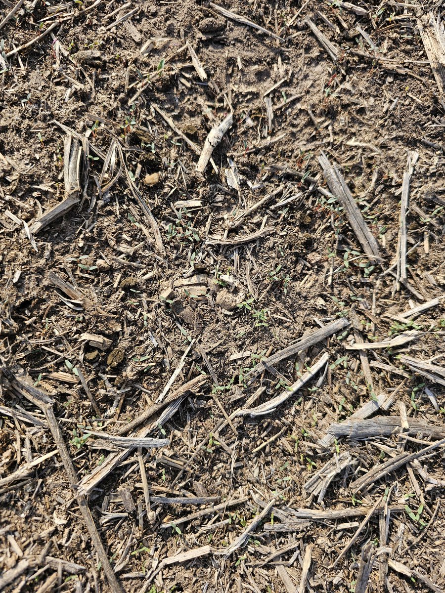 AgroTester I&D tweet media