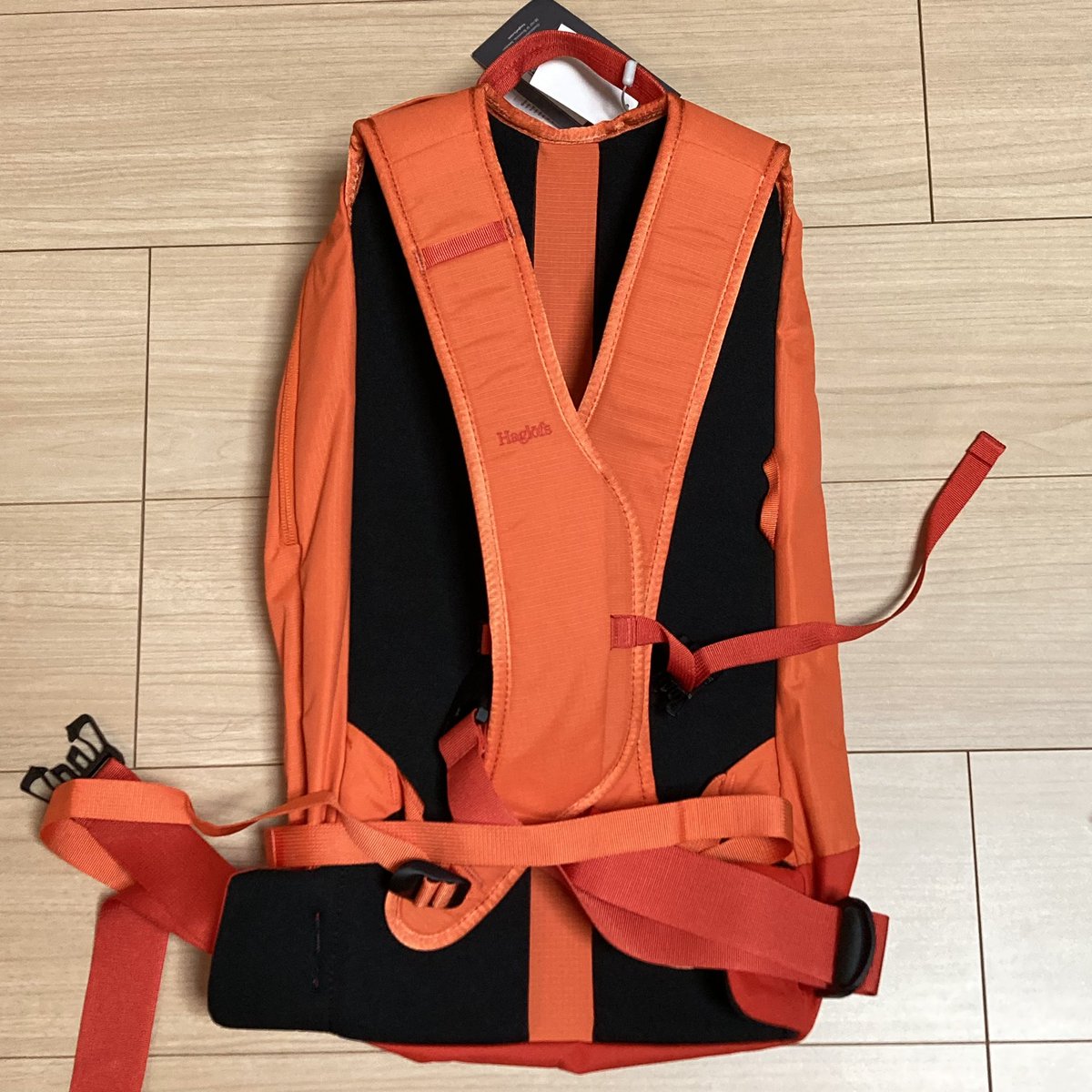 saoringer's tweet photo. ひゃっほー!今シーズンのゲレンデ用バックパック。早く滑りたいなあ。
#haglofs
#ホグロフス https://t.co/j34vXIaRVA