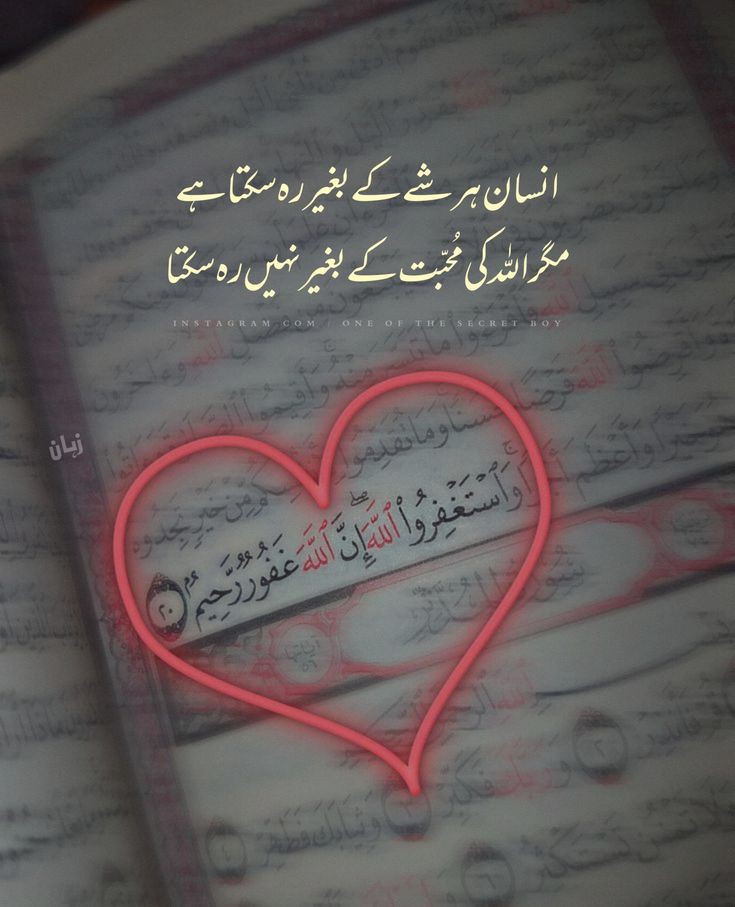 #PSTMARKAZ
Insane her shaaa Kay bagar reha Sakta ha ...