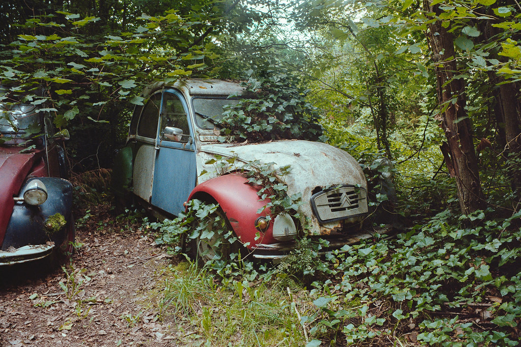 ObsidianUrbex's tweet photo. Pair of Citroens

📷 Zenit- E 🔎 Mir-1b 37mm
Film: #kodakgold200 #35mm

Yorkshire, England; August 2023

#believeinfilm #filmphotography #zenite #citroen2cv #colourfilm https://t.co/nm06ws8owi