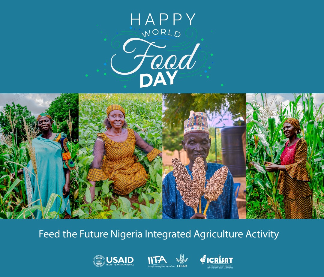 Happy #WorldFoodDay!
Today, we honor our Community-Based Seed Producers like Ruth Dauda, Balkisu Abubakar &amp; Monica Yaddach in Gombe State, who are empowering farmers &amp; sustaining food security in NE Nigeria with support from <a href="/USAIDNigeria/">USAID/Nigeria</a>.

 <a href="/IITA_CGIAR/">IITA</a>  <a href="/ICRISAT/">ICRISAT</a>