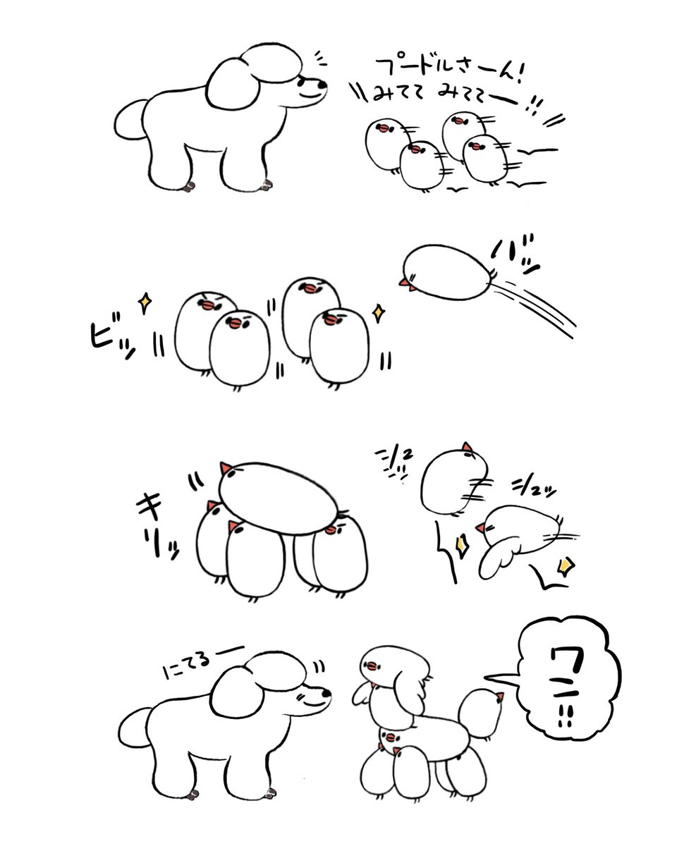 大技!プードル…‼︎ 