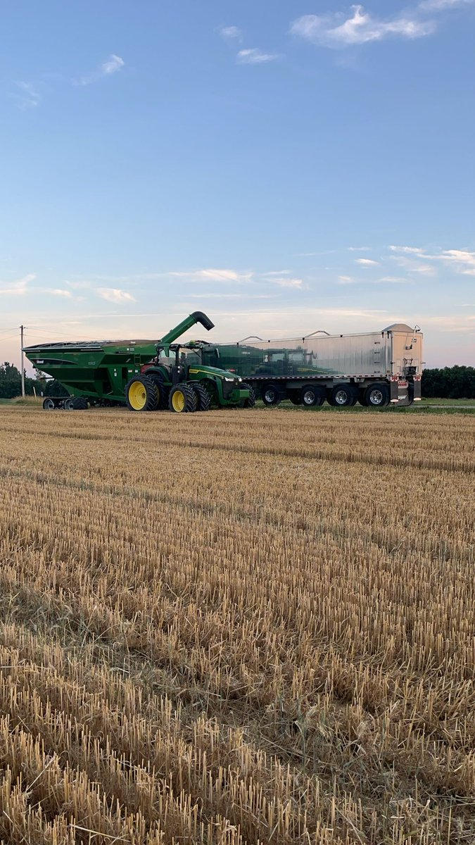 Travis Dietrich tweet media