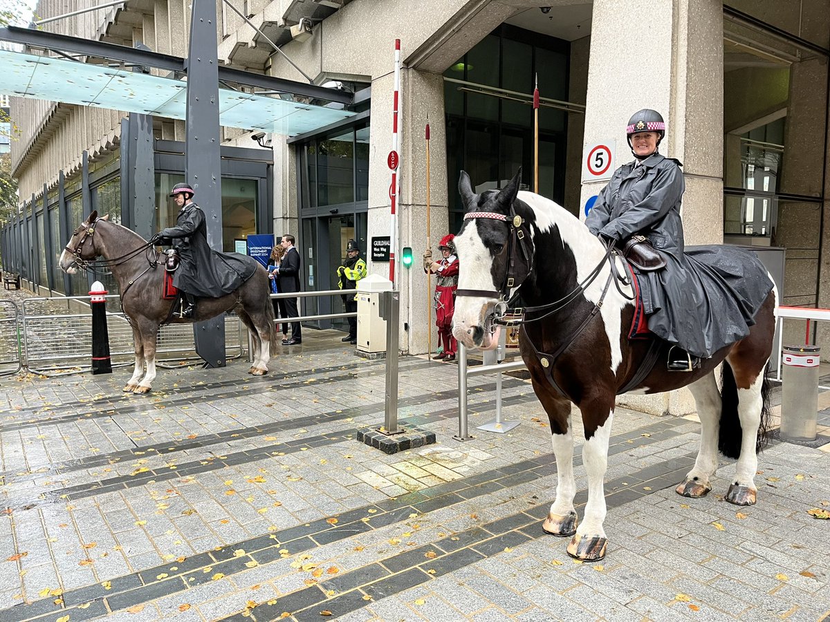 CityHorses's tweet image. #PHGilbert &amp;amp; #PHPollard were up and out very early on a rainy Monday @cityoflondon having stood impeccably in the morning they were took for a nice leg stretch in the afternoon in St James Park. @CityPolice