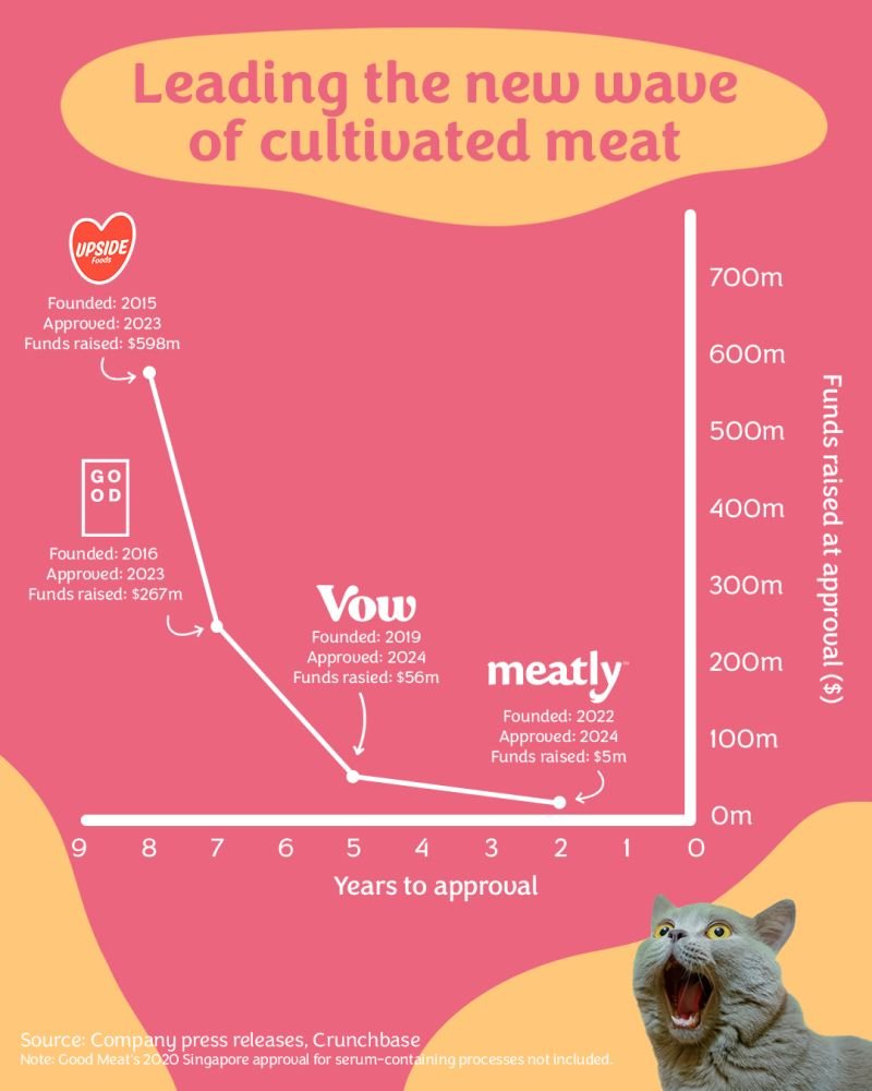Arguably the best time to start a #cultivatedmeat startup is now, as the knowledge foundation is much stronger &amp; many roads paved. New startups have already demonstrated they can lower costs and achieve regulatory approval with much less capital needed:

theguardian.com/lifeandstyle/a…