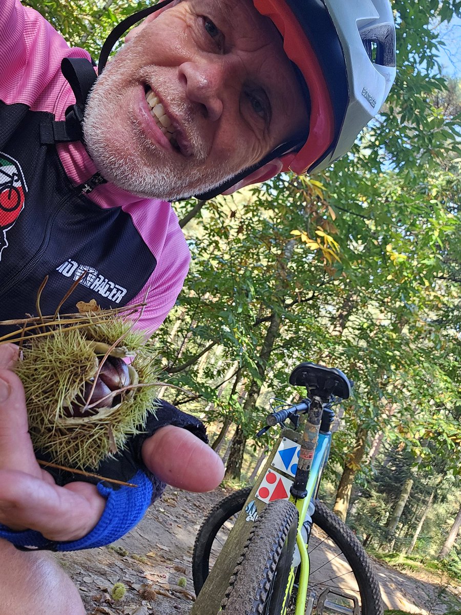 EricRoeske's tweet photo. Carpe diem, pluk de dag(en)❣️
#Dag62 Bos, heuvels 🌳⛰️
#Dag63 Basketbal, circuit ⛹️‍♂️🏋‍♂️
#Dag64 Baantraining 🏟🏃‍♂️
#Dag65 Mountainbike 🚴‍♂️🌲
#GeenDagZonderSport https://t.co/LQGheTeu9I
