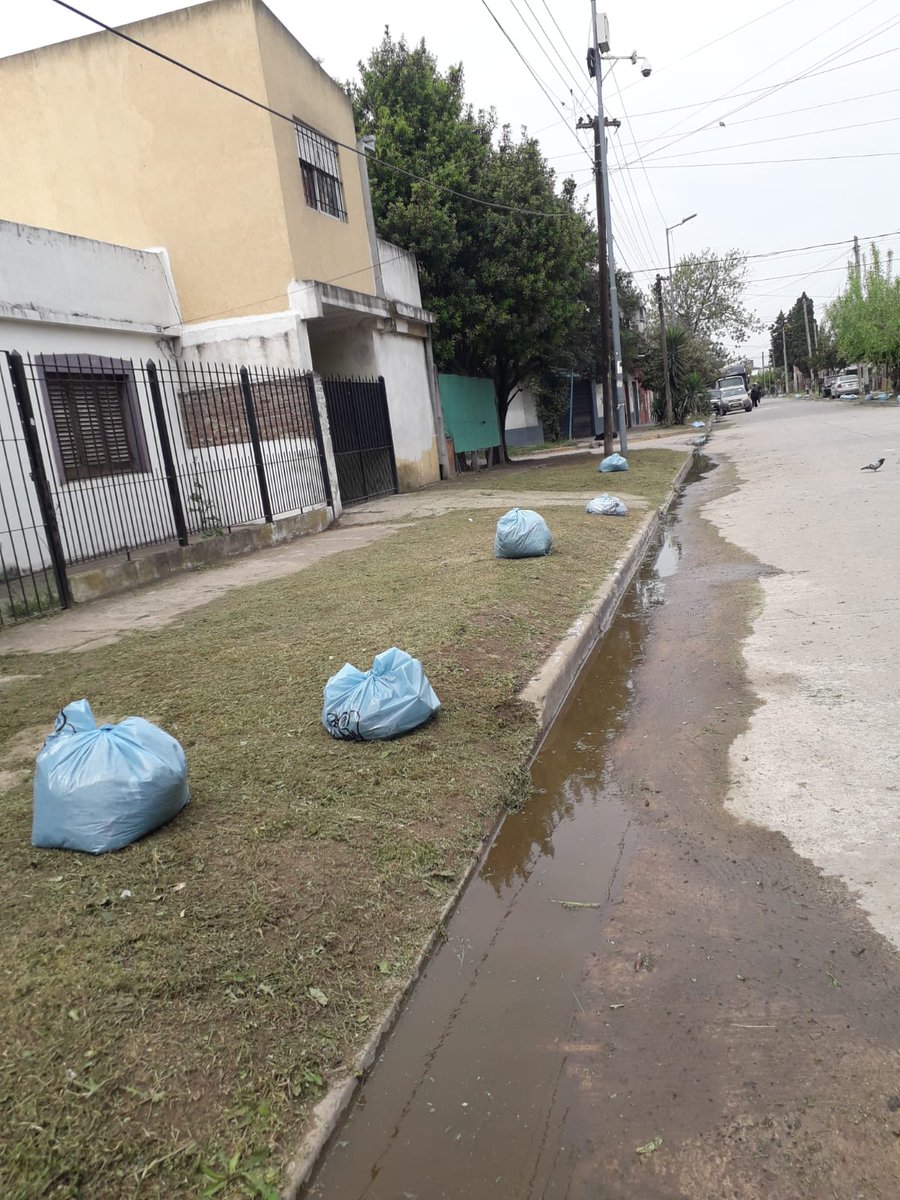 MariaaAlbornozz's tweet photo. Continuamos desde Coordinación con corte y limpieza de calles Principales. ★Bramante y ★Pichincha. Siempre Cerca. #zona24😊
@jaimemendezh 
@NigroFrancisco 
@SabiiiLop https://t.co/NYUMttaOM0