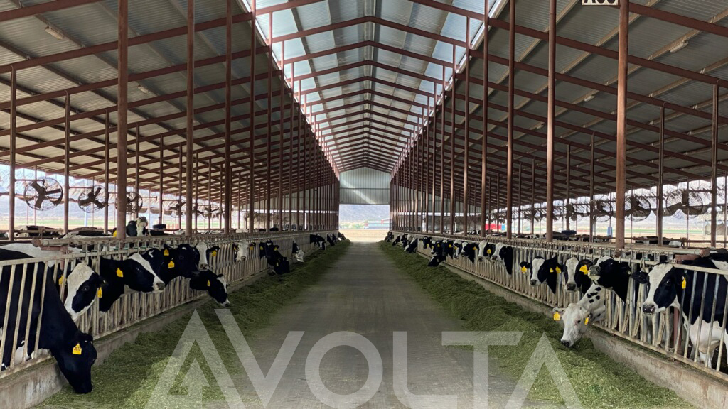 Avolta Development tweet media