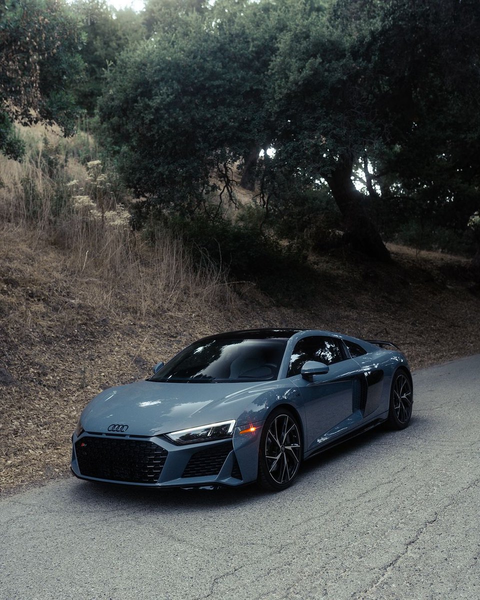 Elite Carsgasm tweet media