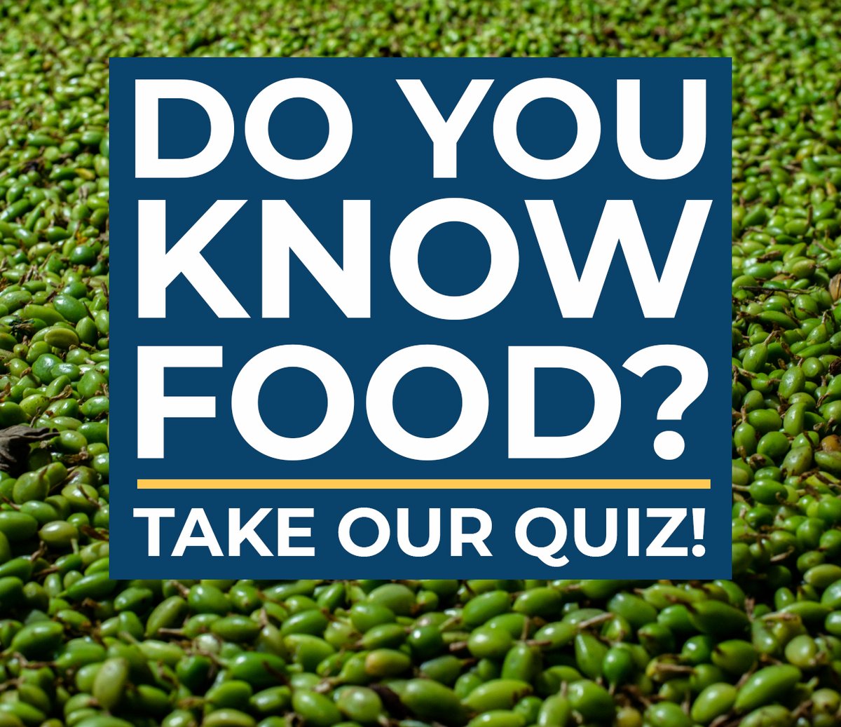 Heifer's tweet photo. Happy World Food Day! 🍅 Step up to the 𝙥𝙡𝙖𝙩𝙚 today and test your food knowledge with our quiz! Can you get all six?

Take the quiz → https://t.co/roI0TWUPTy https://t.co/4X8ZZguJYe