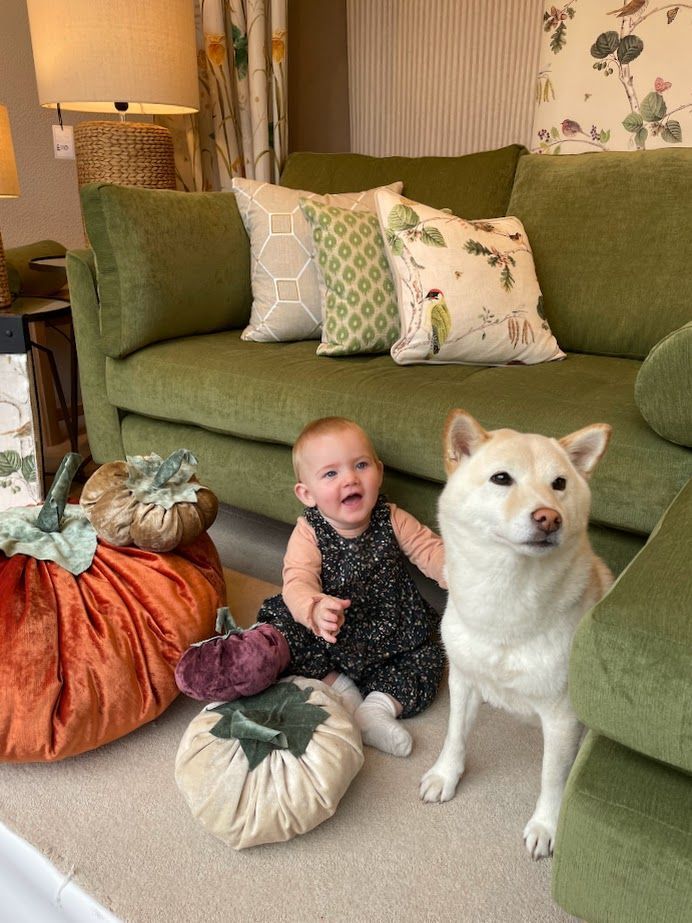 New England Design have been crafting handmade upholstery items since 1985 and specialise in reupholstery on sofas, chairs, dining seats etc. Offering full recovers, loose covers, cushion covers &amp; new inners. Available in Fabric or leather with 1000s of options to choose from.