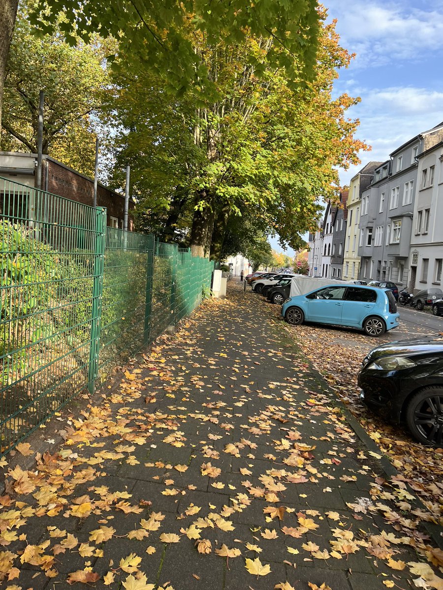 Herbst 🍁🍁🍁🍁😍