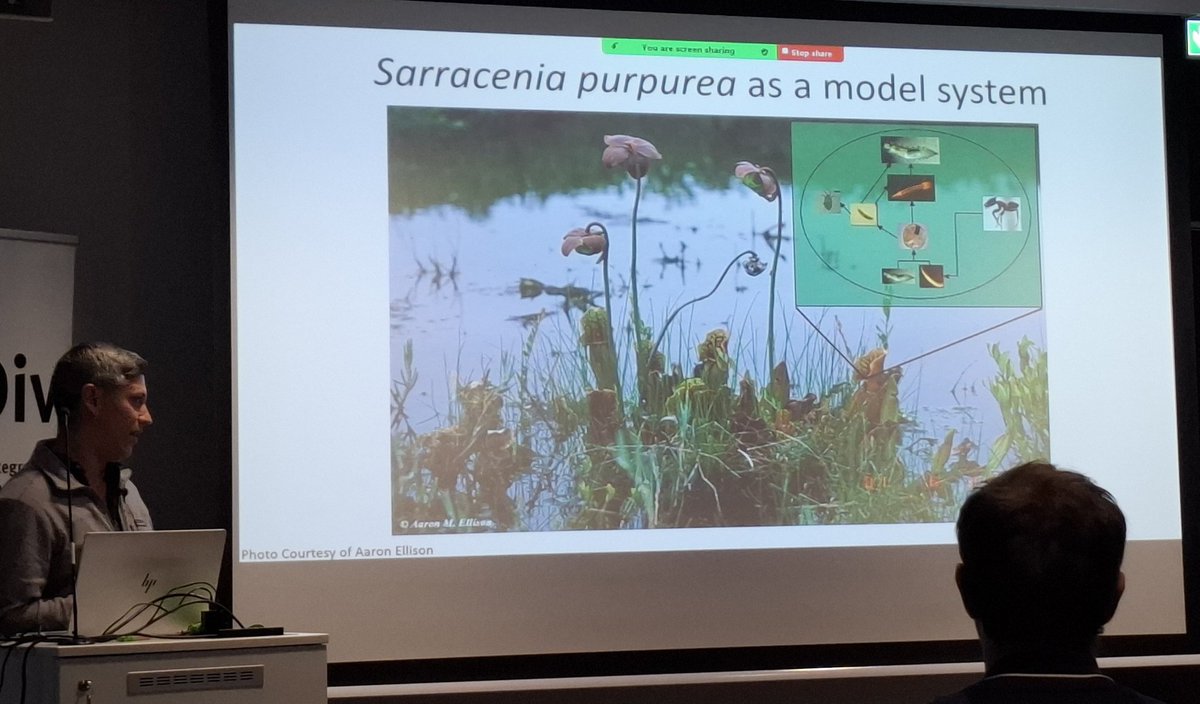 @smartenwinter.bsky.social tweet media