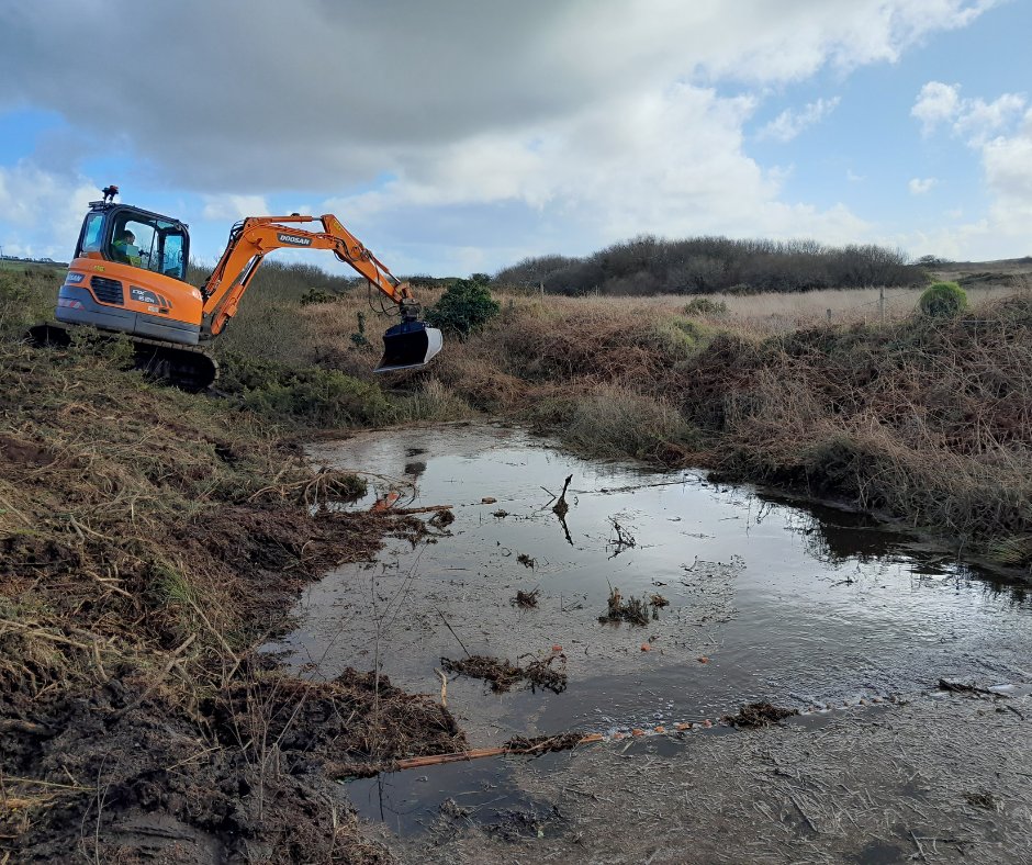 South West Peatland Partnership tweet media